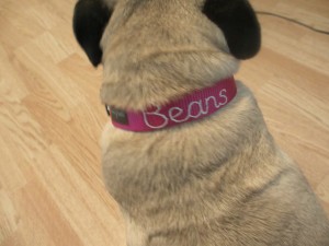 Mimi Greens Personalized Embroidered Collar