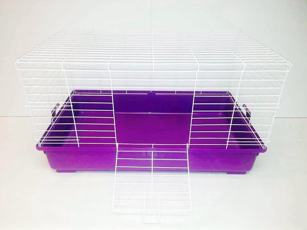 Hedgehog 2024 cage temperature