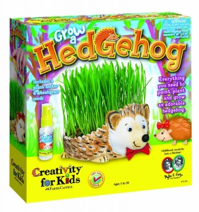 grow a hedgehog kit