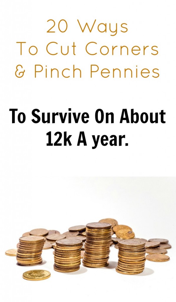 12k a year income - how to pinch pennies and cut corners