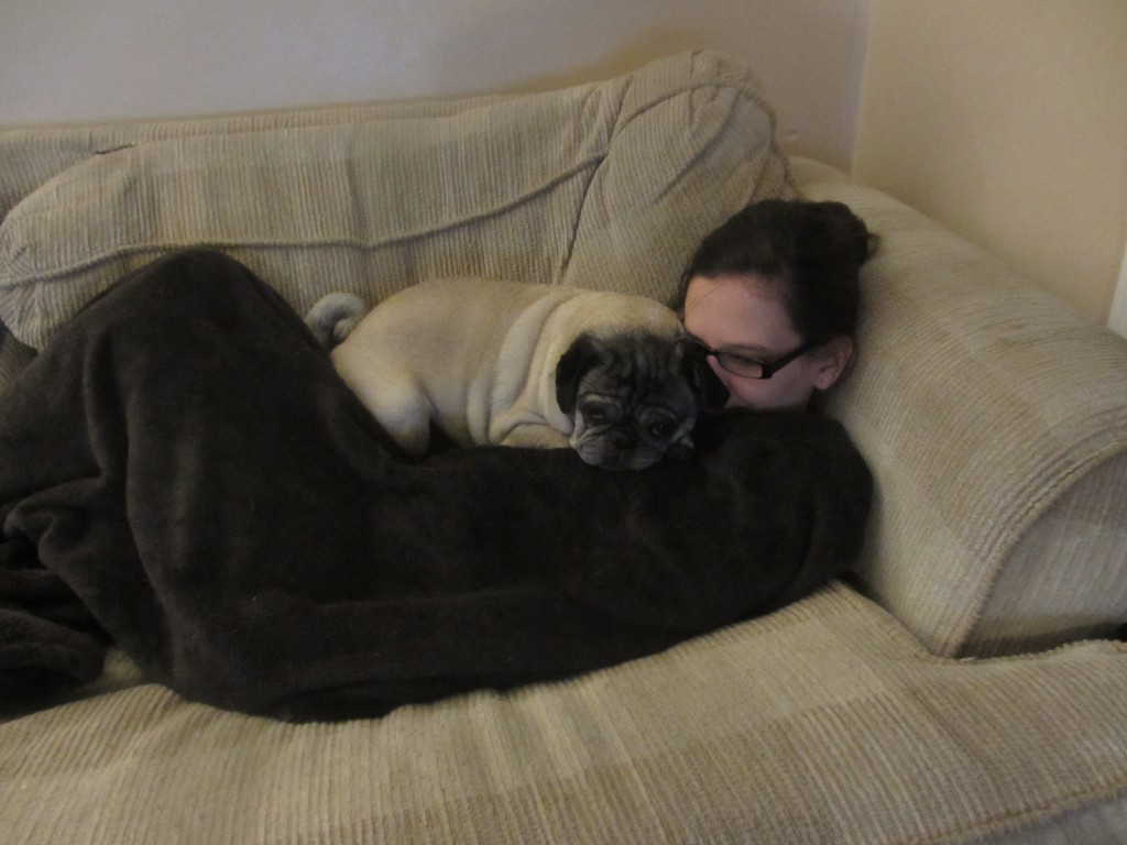 Pug personal bubble