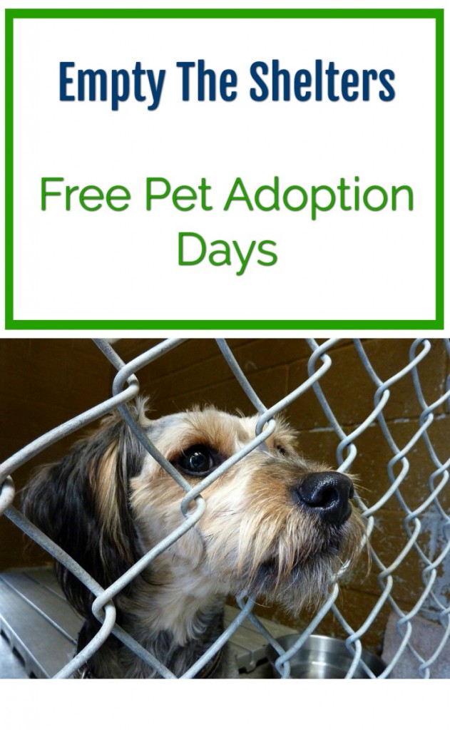 empty the shelters free pet adoption